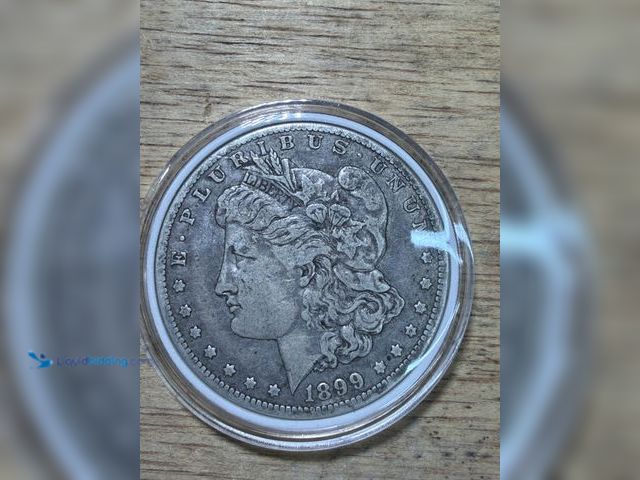 Lot 49-1910294 - 