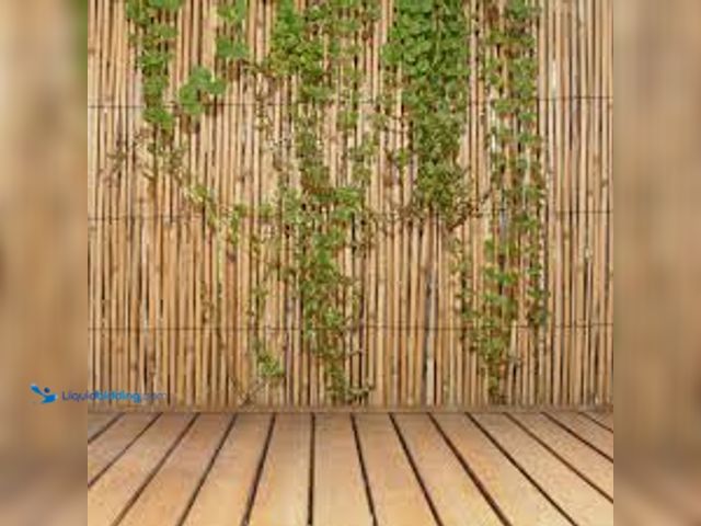 Lot 49-5438123 - Backyard X-Scapes 6 ft. H x 16 ft. L Natural Jumbo Reed Bamboo Fencing. Model # 20-BR6. Unused