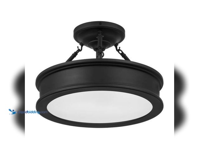 Lot 49-5452799 - Home Decorators Collection
Grafton 15 in. 3-Light Coal Semi-Flush Mount Ceiling Light Internet # 31...