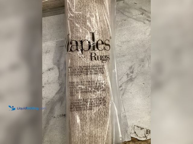 Lot 49-3566928 - Large Area Rug (Tan) 30x46, Unused