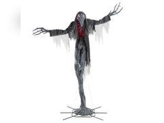 Lot 49-5444275 - undefined