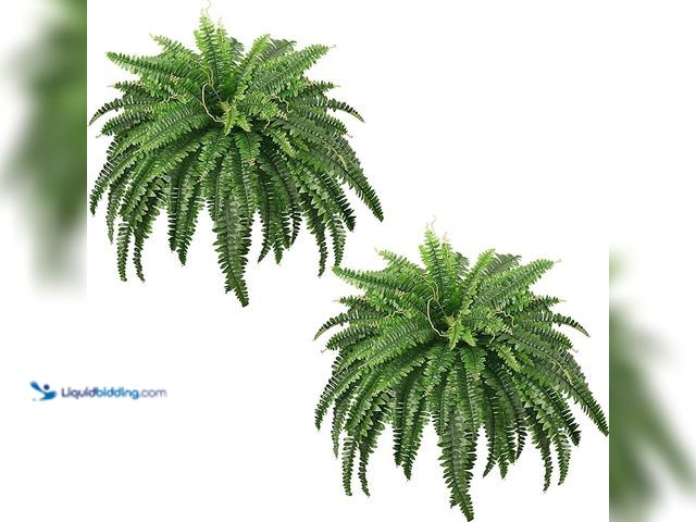 Lot 49-3430503 - FOREST PRINCE 45" Fake Ferns, Realistic Large Artificial Bush Plants, 2 Artificial Boston Ferns with...