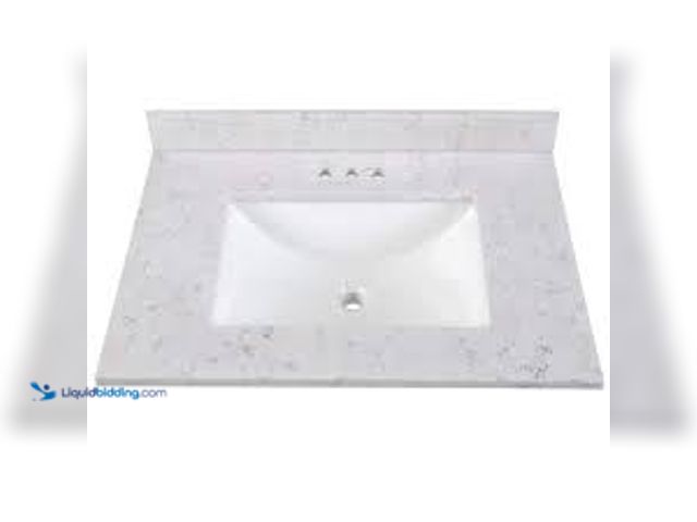 Lot 49-5411922 - Home Decorators Collection 31 in. W x 22 in. D Engineered Stone Composite White Rectangular Single S...