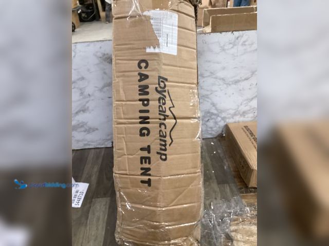 Lot 49-5448709 - Tents 4 Person Camping Tent, Easy Setup Waterproof Family Tents for Camping, Portable Dome Tent for ...