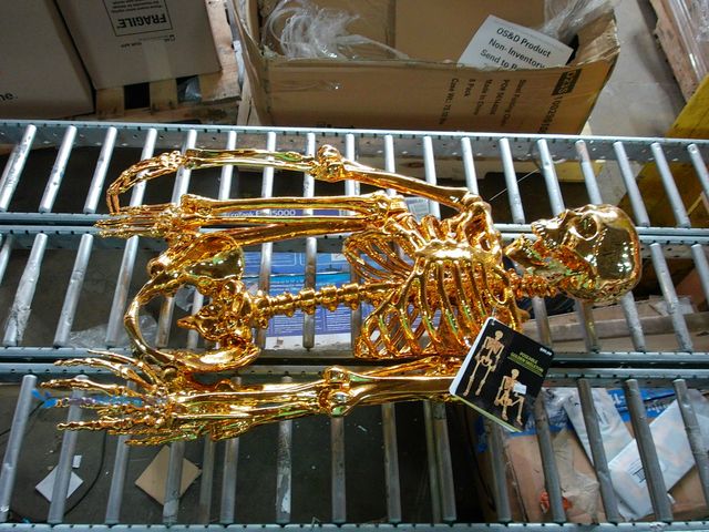 Lot 49-1533782 - Life Size Gold Plated Posable Skeleton Halloween Décor, Model #866593, Unused  Ref#HW1009