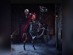 Lot 49-5444155 - undefined