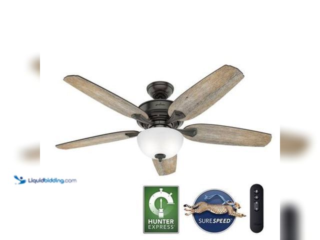 Lot 49-5548839 - Hunter Channing 54 in. Hunter Express Indoor Noble Bronze Ceiling Fan with Remote and Light Kit Incl...
