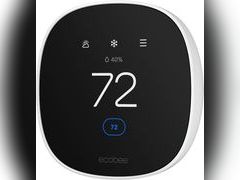 Lot 49-5438664 - undefined