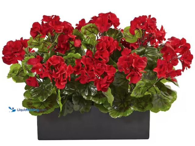Lot 49-2001061 - Nearly Natural Artificial Indoor/Outdoor UV Resistant Red Geranium Silk Plant in Rectangular Planter...