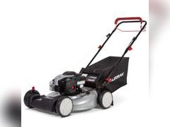 Lot 49-3517455 - undefined