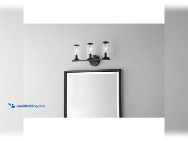 Lot 49-3531016 - Hampton Bay
Loveland 16.625 in. 3-Light Black Bathroom Vanity Light Fixture with Clear Glass Shades...