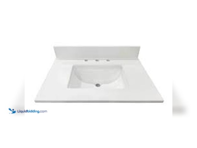Lot 49-5448924 - Home Decorators Collection 31 in. W x 22 in D Quartz White Rectangular Single Sink Vanity Top in Sno...