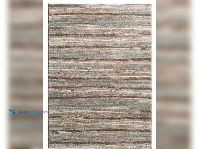 Lot 49-1517021 - Home Decorators Collection
Shoreline Multi 5 ft. x 7 ft. Striped Area Rug, Model # 1203PM58HD.101, ...