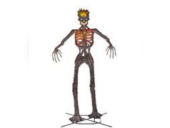 Lot 49-5439583 - undefined