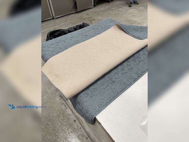 Lot 49-5496029 - RUGS  BLUE  WITH RUBBER BACKS   DIRTY FROM SHIPPING    APPROX   33 X 24