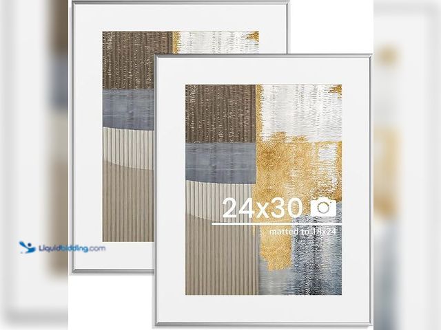 Lot 49-5408231 - 24x30 inch Metal Poster Frame - Set of 2, Silver, Matted, Lightweight, Modern Style, Wall Mount, Acr...