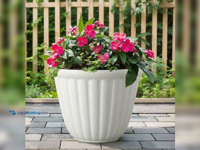 Lot 49-1517039 - Vigoro
Beck 22 in. Dia x 17.2 in. H Sand Resin Indoor/Outdoor Decorative Pot with Drainage Hole, Mo...
