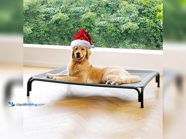 Lot 49-2025635 - DOPEDIO Elevated Dog Bed Outdoor Cooling Raised Cot for XL Dogs, Gray 48.8in, Tool-Free Installation...