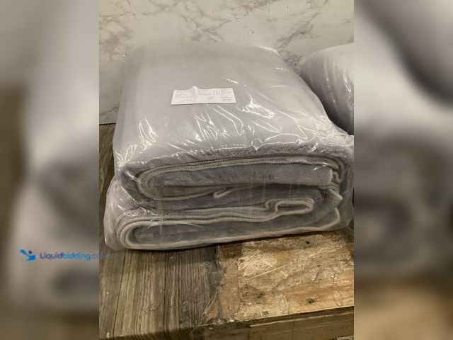 Lot 49-5407792 - Carvapet Edaner Area rug, light grey 5' x 9' unused