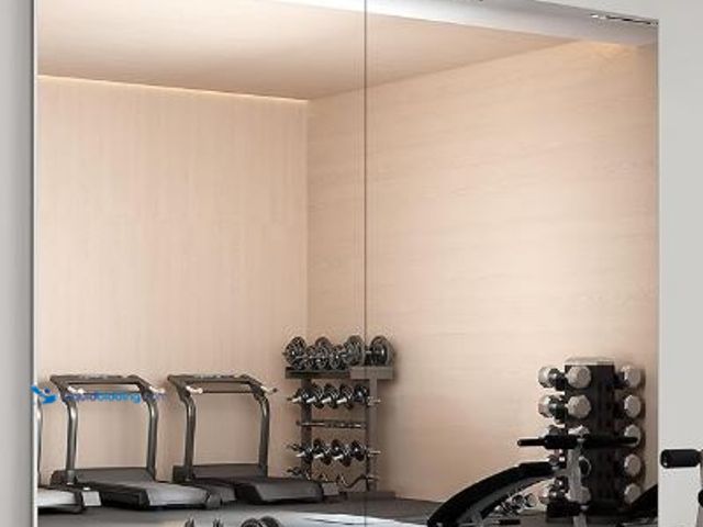 Lot 49-3464242 - 2PCS 71" X 40" Gym Mirror - Full Length Wall Mirror for Gyms, Dance Studios, Home and Yoga - Easy In...