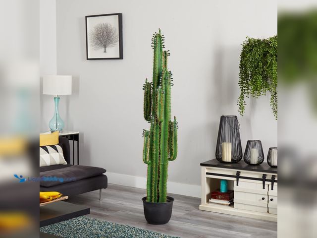 Lot 49-5544132 - Nearly Natural 6.5ft. Cactus Artificial Plant. Model: B07MWMCZMH. Unused