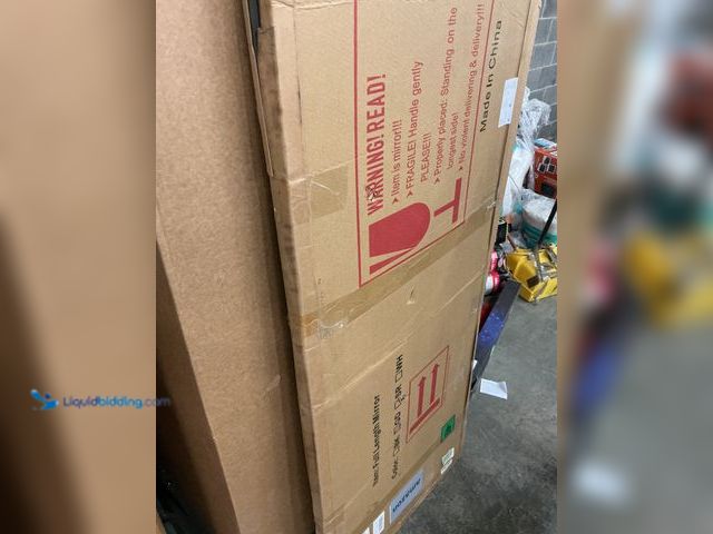 Lot 49-5487306 - Full Length Gold Arch Mirror 70"x25" Unused