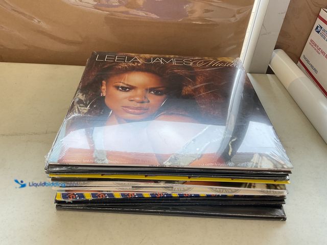 Lot 49-5341805 - LOT OF 20 NEW VINYL RECORDS VARIOUS GENRES AND ARTISTS INCLUDING LEELA JAMES, TRILLVILLE, POTZEE, MI...