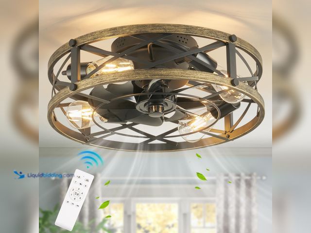 Lot 49-5488448 - 19" Caged Flush Mount Ceiling Fans with Lights and Remote, Farmhouse Low Profile Ceiling Fan with Li...