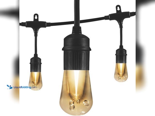 Lot 49-5413025 - Enbrighten
12 Bulb 24 ft. Outdoor/Indoor Black Vintage LED String Lights, Acrylic Edison Bulbs Unus...