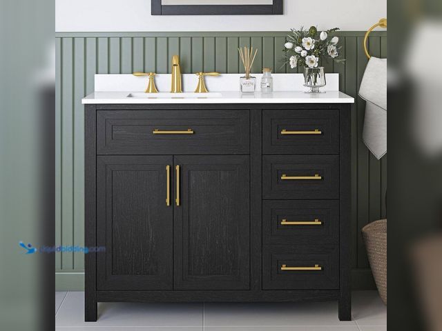 Lot 49-5435356 - Home Decorators Collection
Beaufort 42 in. Single Sink Black Bath Vanity with White Engineered Ston...