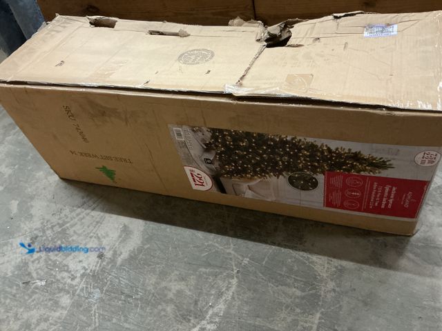 Lot 49-5464099 - 7.5ft Jackson Spruce Epinette Jackson Christmas Tree Unused