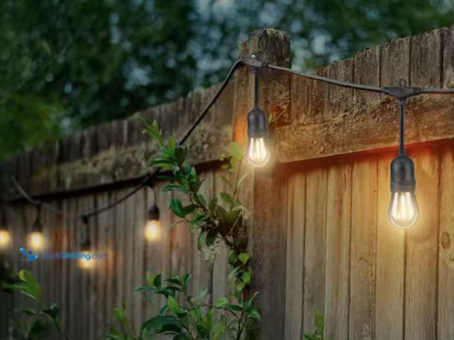 Lot 49-2020576 - Hampton Bay 24-Light 48 ft. Indoor/Outdoor Plug-In Filament LED S14 Edison Bulb String-Light, Model ...