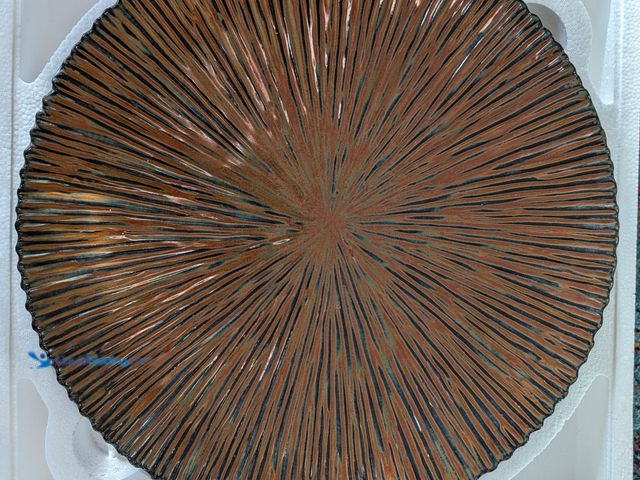 Lot 49-1814685 - 1 New STYLE Selections 271851 ceramic Large Decorative Platter Decorative Platter Charger plate to d...