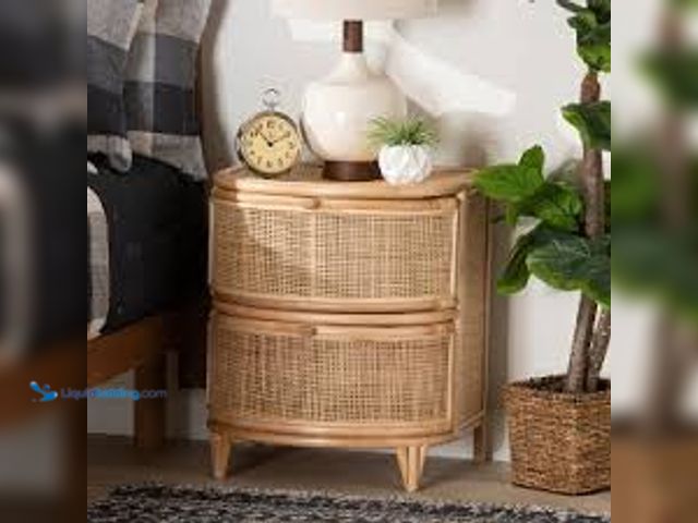 Lot 49-5489269 - bali & pari Oleta Modern Bohemian Natural Brown Rattan 2-Drawer Nightstand. Model #193271378807. Unu...
