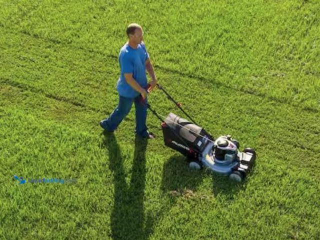 Lot 49-2026106 - Murray 22 in. 140 cc Briggs & Stratton Walk Behind Gas Self-Propelled Lawn Mower with Front Wheel Dr...