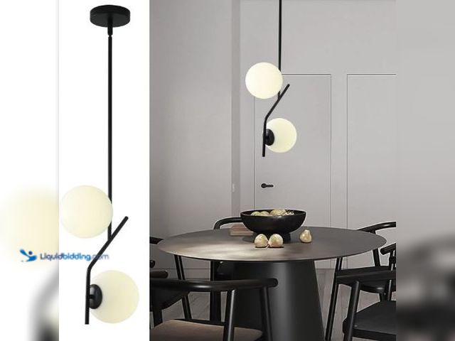Lot 49-5436536 - SeeU Modern Style Pendant Light Fixture Globe Chandelier Black Hanging Light Fixture Hanging Light F...