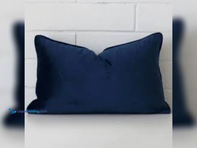 Lot 49-5548854 - BLUE CUSHION. UNKNOWN SIZE. UNUSED.
