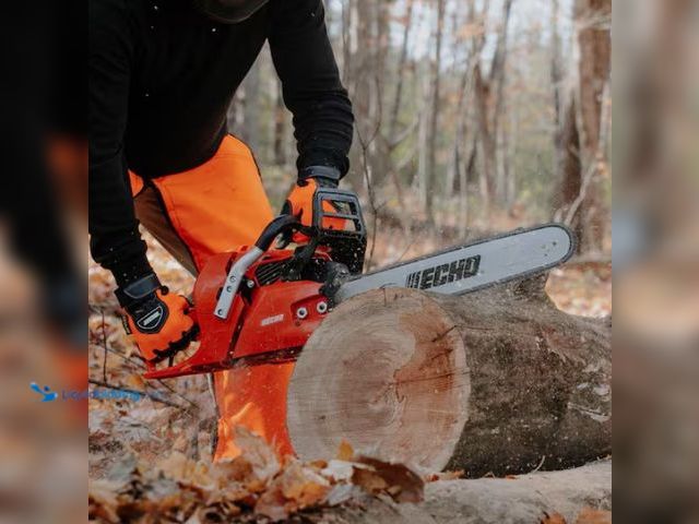 Lot 49-1567611 - ECHO 20 in. 73.5 cc Gas 2-Stroke X Series Professional-Grade Rear Handle Chainsaw, Model # CS-7310P-...