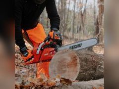 Lot 49-1567611 - undefined