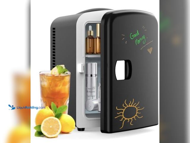 Lot 49-5436843 - Living Enrichment Portable Mini Fridge 4 Liter 6 Can Skincare Fridge, AC 120V DC 12V Small Refrigera...