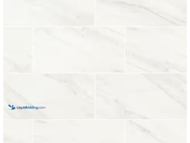 Lot 49-1596136 - Approx. (220) Sq. Ft. of Home Decorators Collection Kolasus White 12 in. x 24 in. Polished Porcelain...