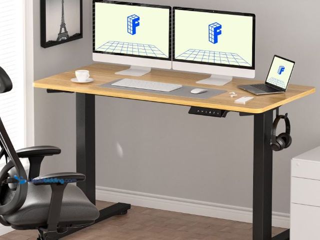 Lot 49-1556411 - FLEXISPOT 60"x24" Home Office Height Adjustable Standing Desk with Hooks, Ergonomic Electric 2-Stage...