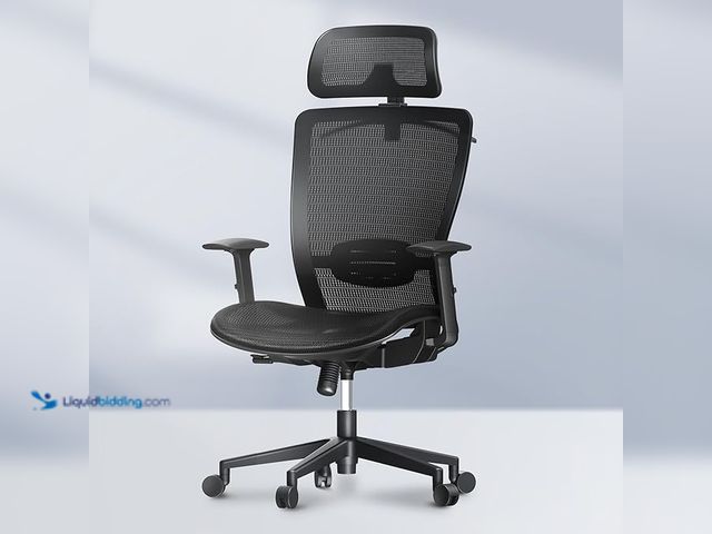 Lot 49-1556340 - FLEXISPOT Ergonomic Office Chair High Back Mesh Swivel Computer Chair Home Office Desk Chairs with W...