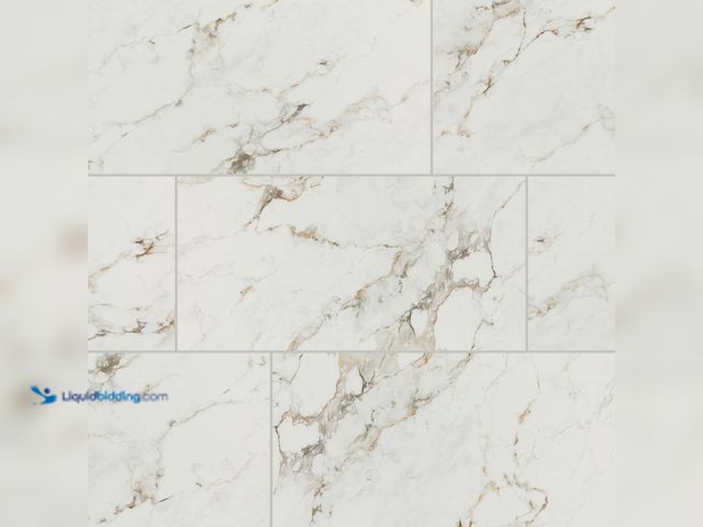 Lot 49-5413733 - Daltile
Maisto Safari Calacatta 24 in. x 48 in. Polished Porcelain Marble Look Floor and Wall Tile ...