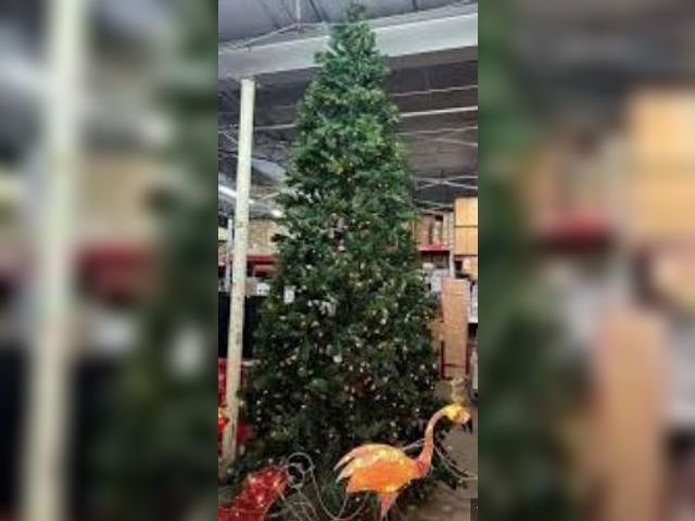 Lot 49-1544886 - Home Accents Holiday 12 ft Wesley Long Needle Pine LED Pre-Lit Tree, Model # 1011184421, Unused, Tes...