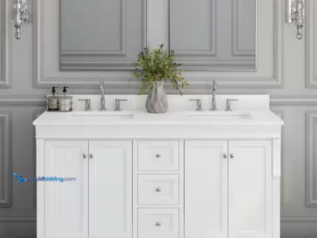 Lot 49-1547629 - Home Decorators Collection Naples 60 in. W x 21.63 in. D x 34 in. H Bath Vanity Cabinet without Top ...