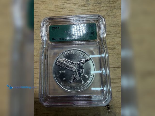 Lot 49-1910279 - 