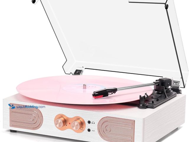 Lot 49-5487618 - Vinyl Record Player with Built-in Speakers 3-Speed Vintage Record Player Support Treble& Bass Contro...