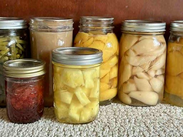 Lot 499-393 - Canned Goods from 'Eastside and Friends'
Includes: Quarts: salsa, beans, pear sauce, (2) peaches, pe...