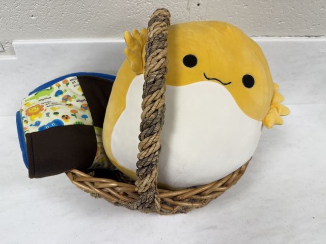 Lot 499-052 - New Cozy Basket! 
Squishy Mellow and Plush Handmade Blanket.
